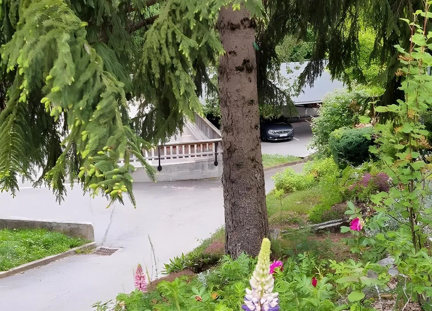 Mon Petit Coin De Paradis Saint-Gervais-les-Bains Apartment